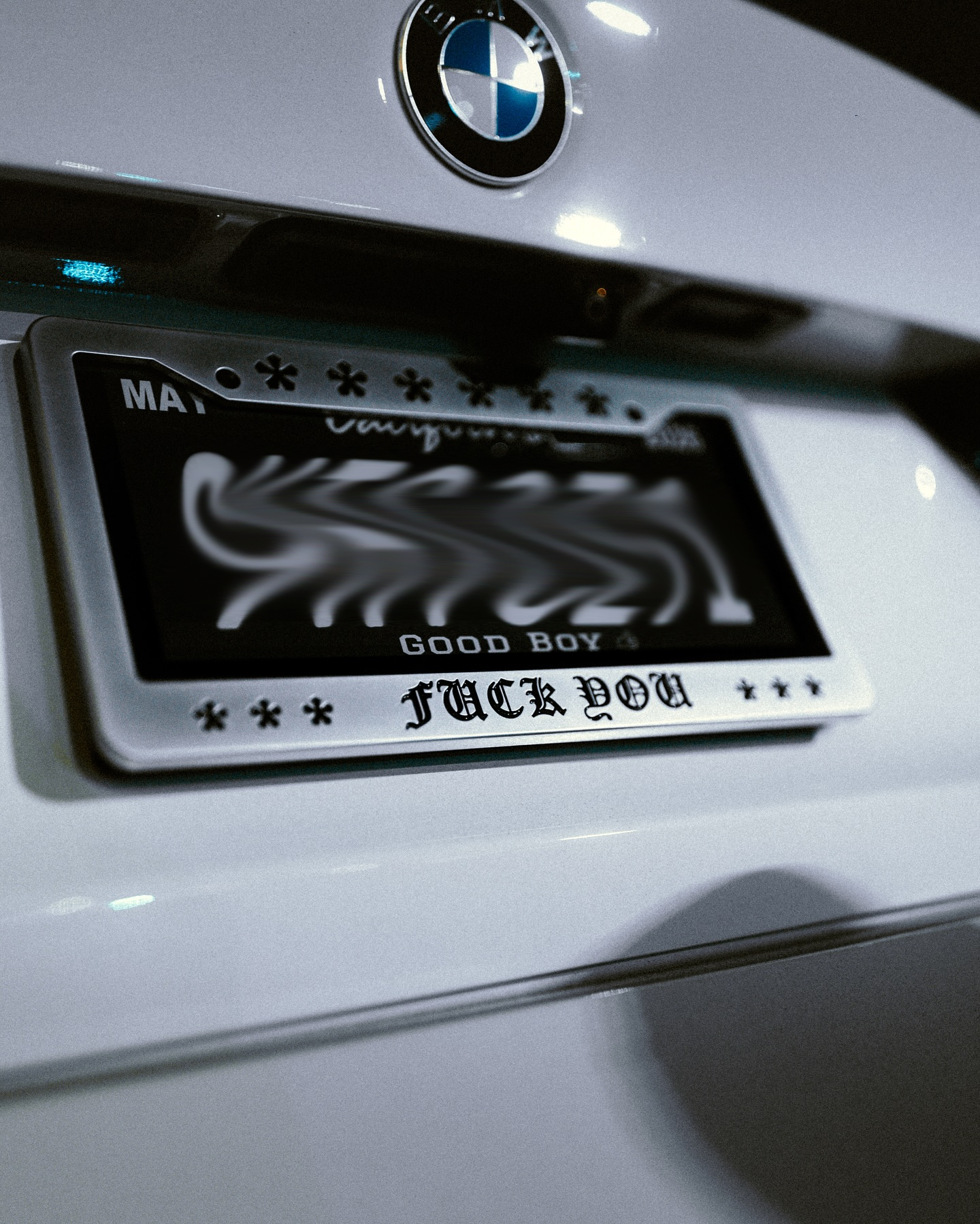 Fuck You License Plate Frame